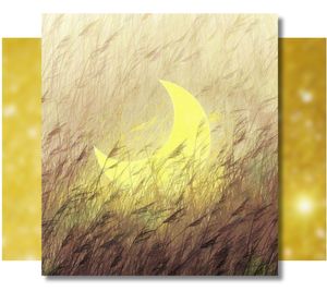 Evening Book Convers